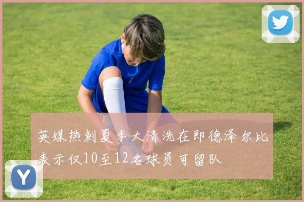 英媒热刺夏季大清洗在即德泽尔比表示仅10至12名球员可留队