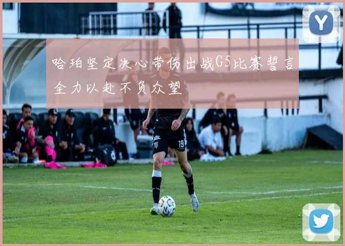 哈珀坚定决心带伤出战G5比赛誓言全力以赴不负众望