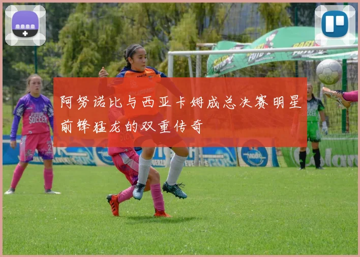 阿努诺比与西亚卡姆成总决赛明星前锋猛龙的双重传奇