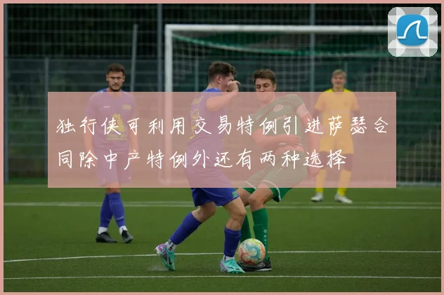 独行侠可利用交易特例引进萨瑟合同除中产特例外还有两种选择